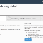 Crear copias de seguridad con el hosting de Raiola Networks