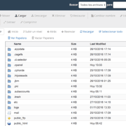 El administrador de archivos de Raiola Networks
