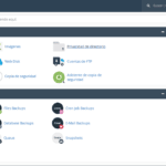 El cPanel de Raiola Networks