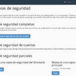 Hostinet Copiasdeseguridad