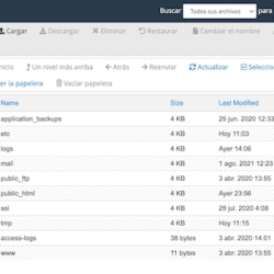 Administrador de archivos de GoDaddy