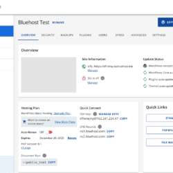 Gestionando un sitio web con Bluehost